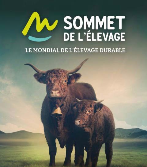 Казахстан станет почетным гостем Саммита животноводства во Франции